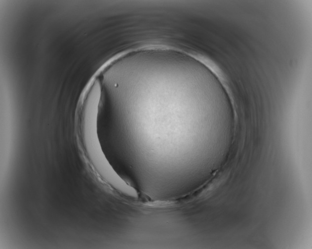 X0000083971008200703091758
