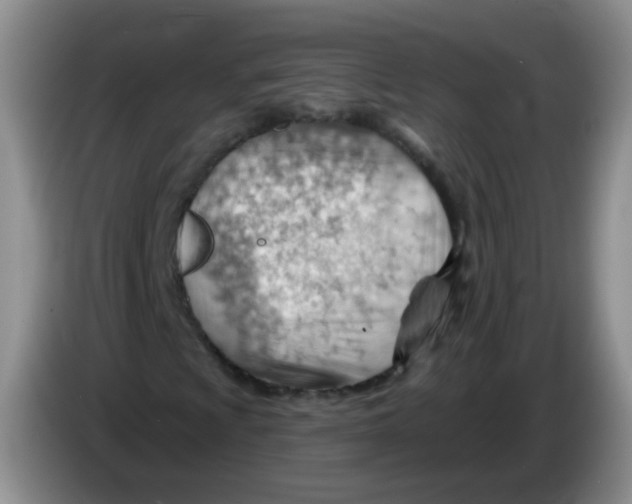 X0000083971009200703091757