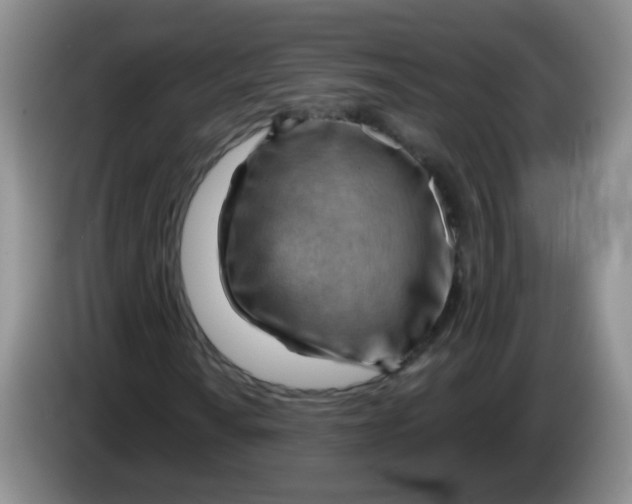 X0000083971010200703091757