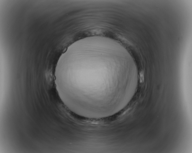 X0000083971011200703091757