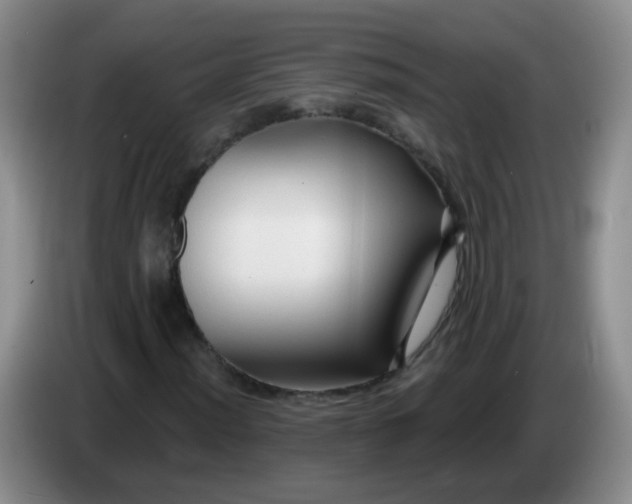 X0000083971012200703091757