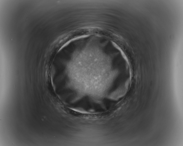 X0000083971014200703091757