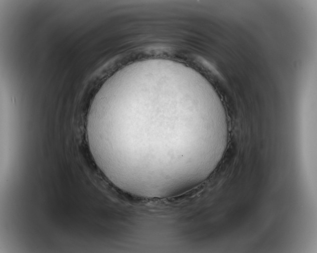 X0000083971015200703091757