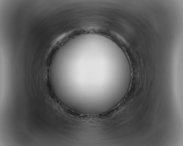 X0000083971016200703091757