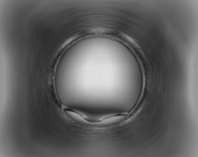 X0000083971017200703091757
