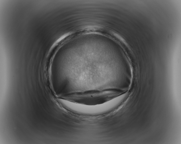 X0000083971018200703091757