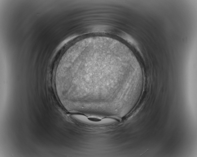 X0000083971019200703091757