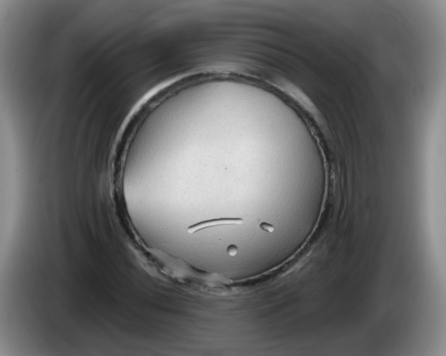 X0000083971020200703091757