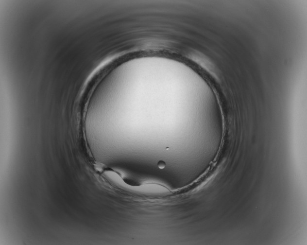 X0000083971021200703091757