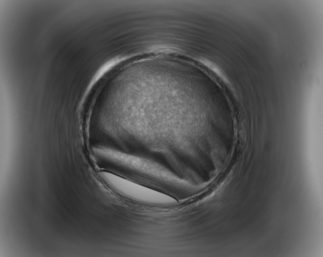 X0000083971022200703091757