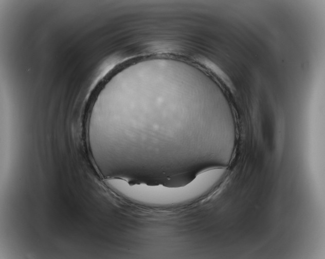 X0000083971023200703091757