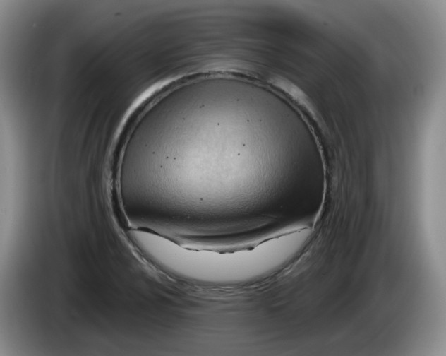 X0000083971024200703091757