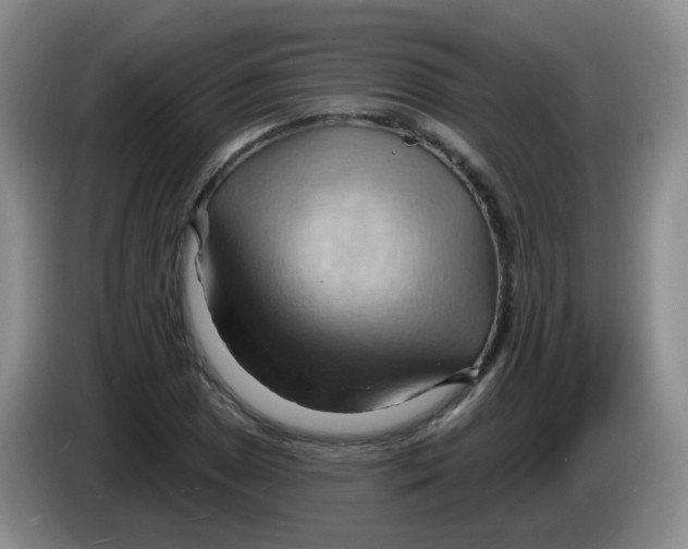 X0000083971025200703091757