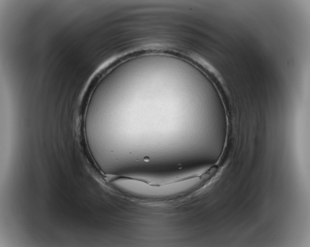 X0000083971029200703091758
