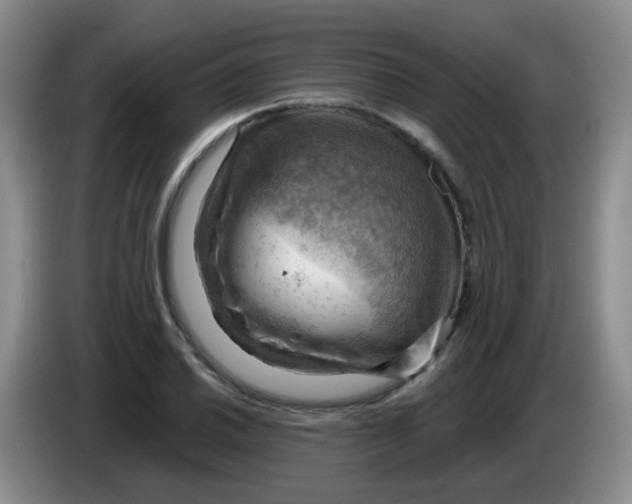 X0000083971030200703091758