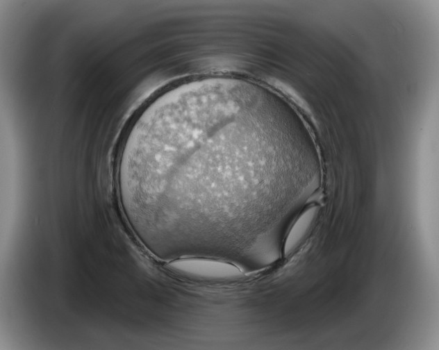 X0000083971031200703091758