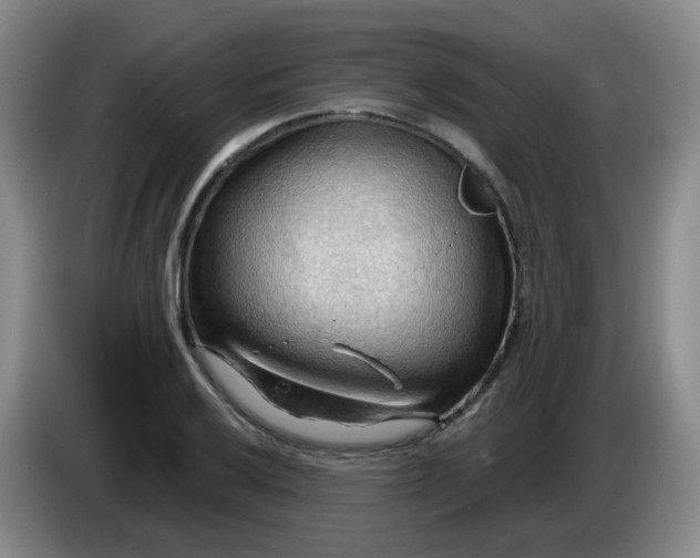 X0000083971032200703091758