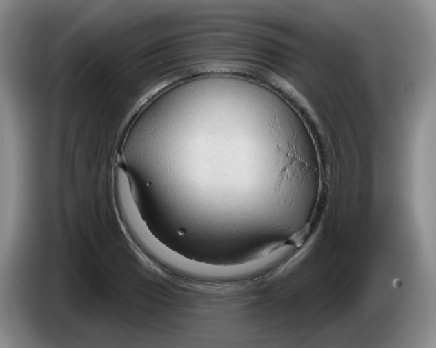 X0000083971033200703091758
