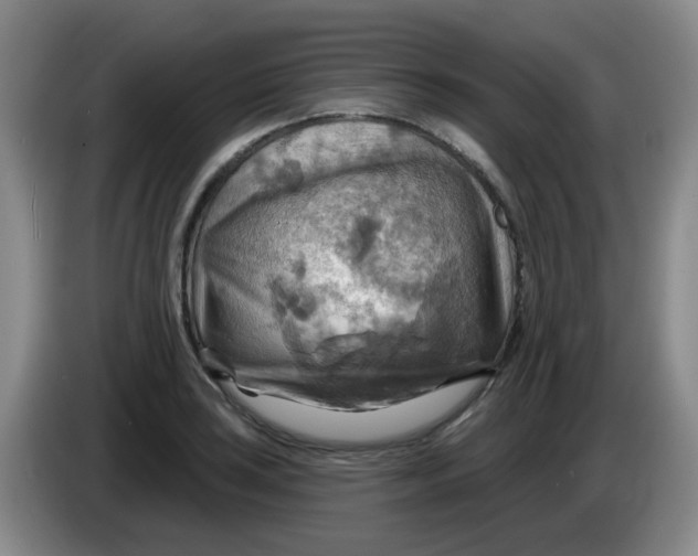 X0000083971035200703091758