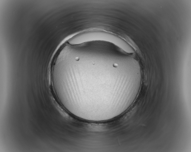X0000083971036200703091758