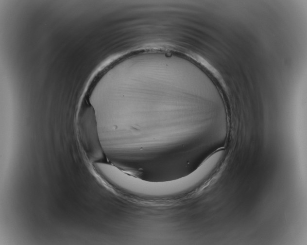 X0000083971037200703091758