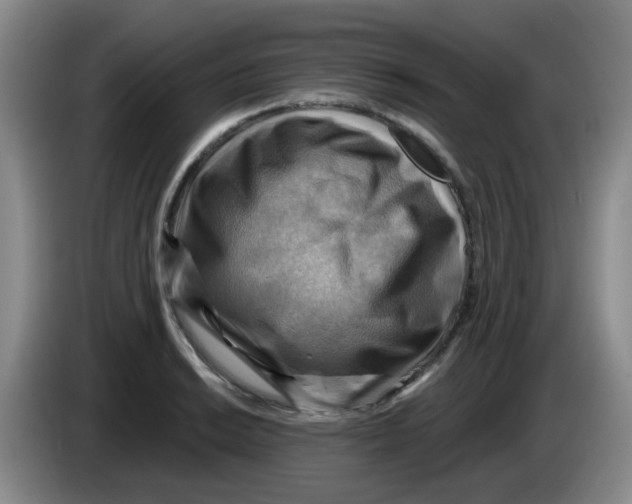 X0000083971038200703091758
