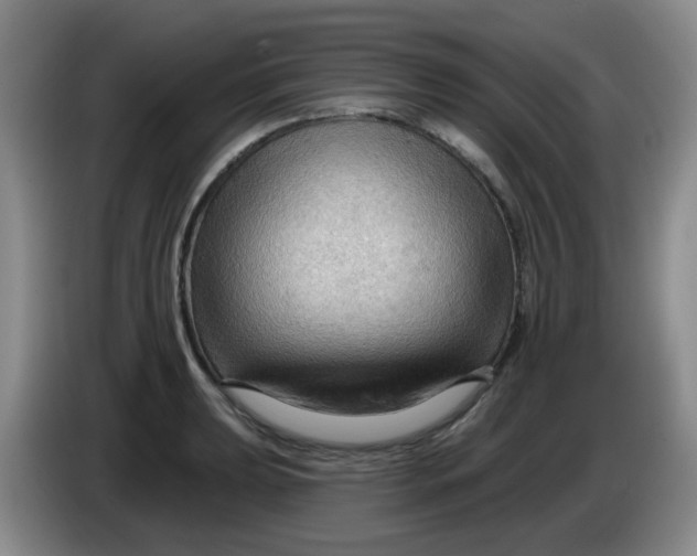 X0000083971039200703091758
