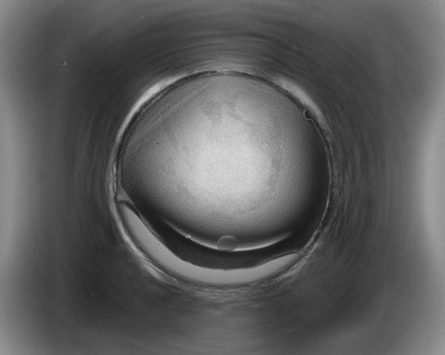X0000083971040200703091758