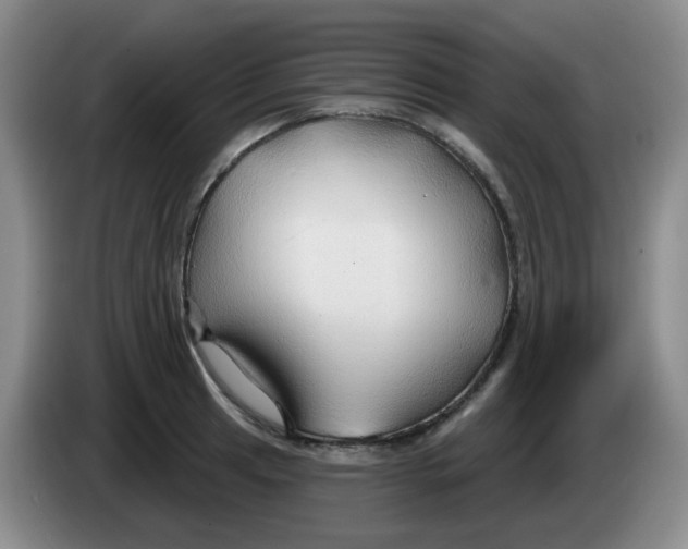 X0000083971041200703091758