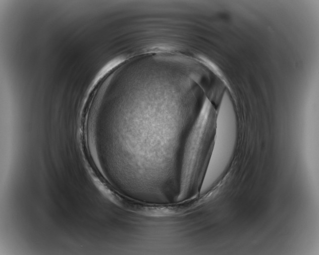 X0000083971042200703091758