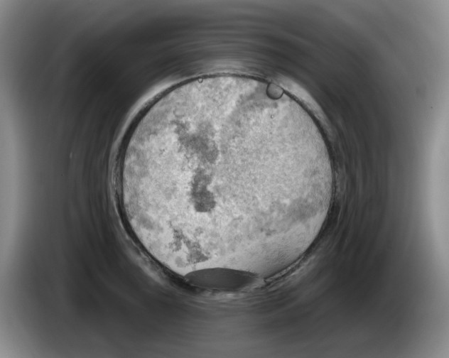 X0000083971043200703091758