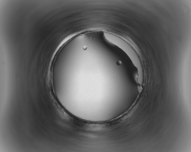 X0000083971044200703091758