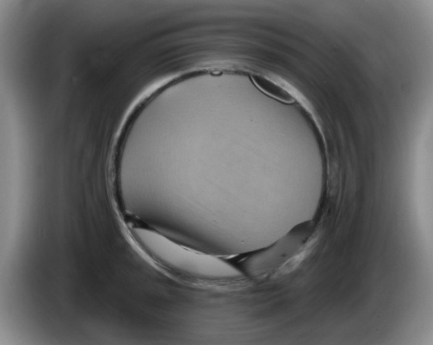 X0000083971045200703091758