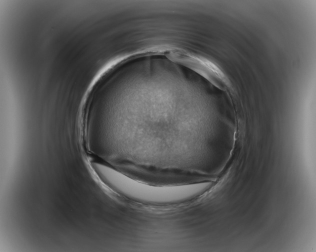 X0000083971046200703091758