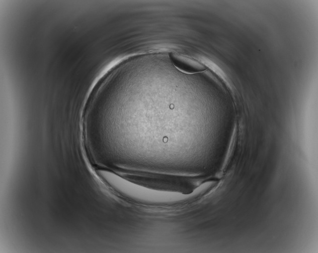 X0000083971047200703091758