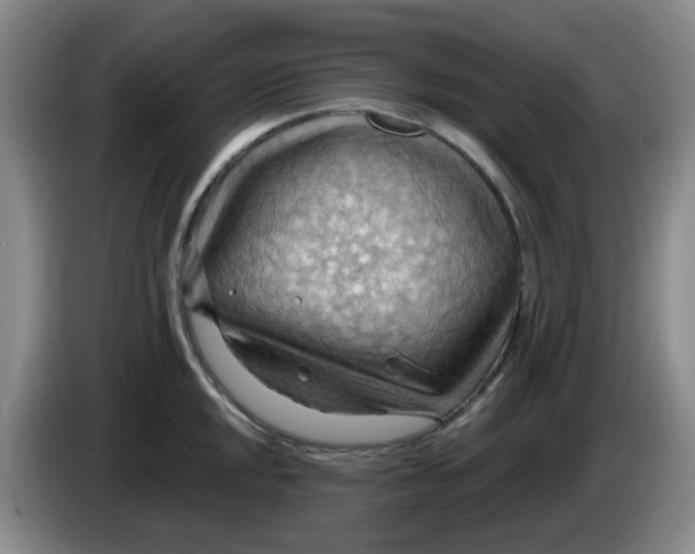 X0000083971048200703091758