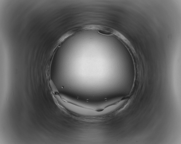 X0000083971049200703091758