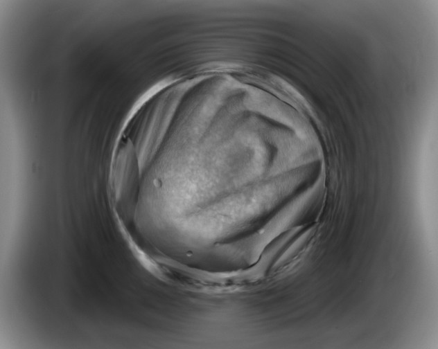 X0000083971050200703091758