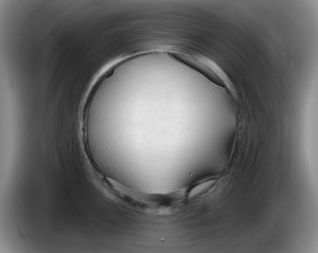 X0000083971051200703091758