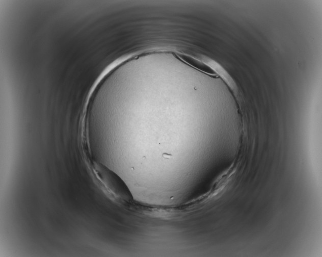 X0000083971052200703091758