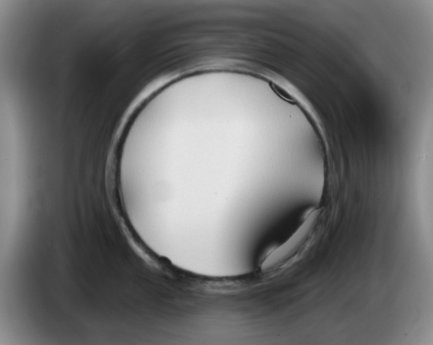 X0000083971053200703091758