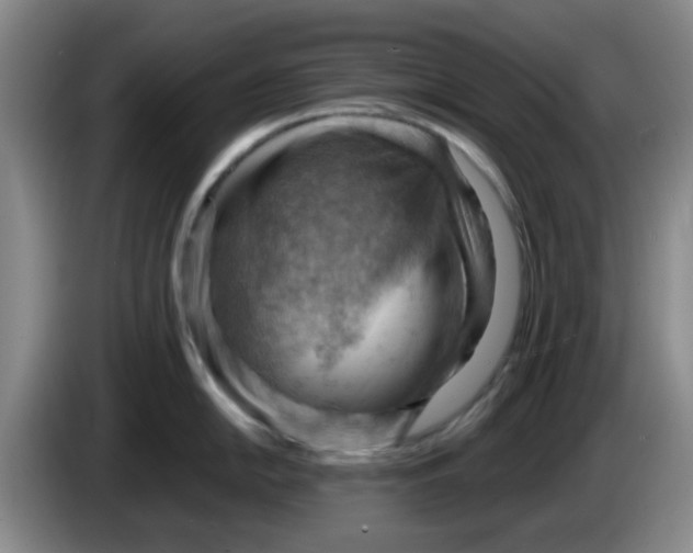 X0000083971054200703091758