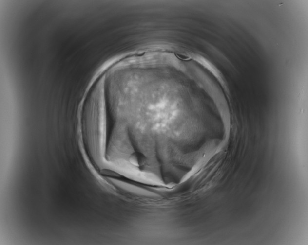 X0000083971055200703091758