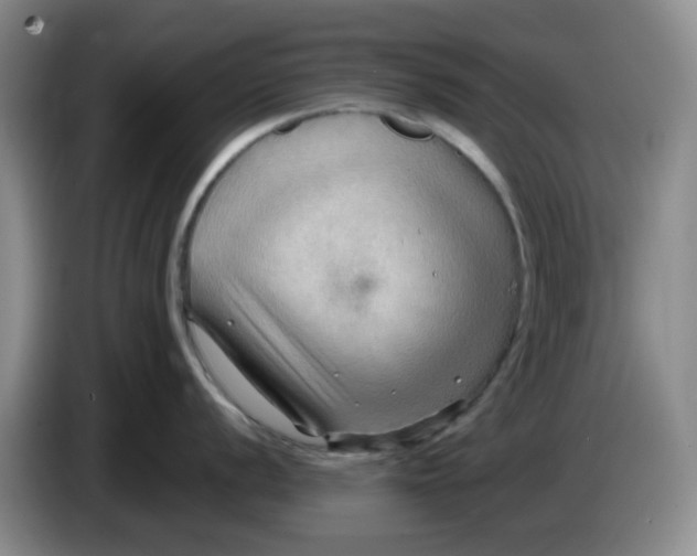 X0000083971056200703091758