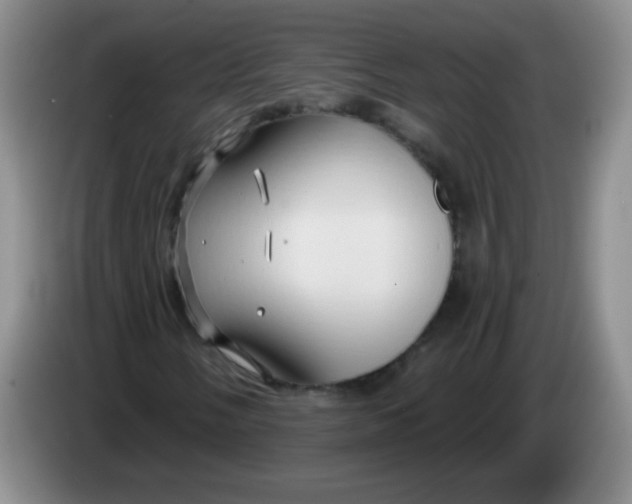 X0000083971058200703091757