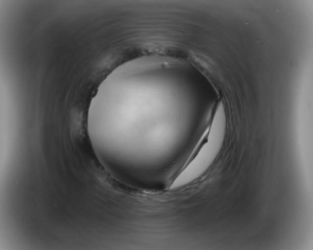 X0000083971060200703091757