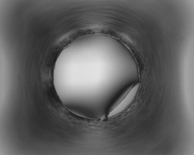 X0000083971062200703091757