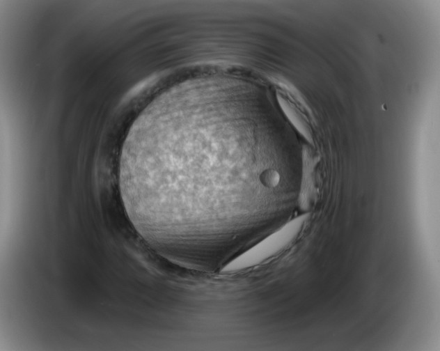 X0000083971064200703091757