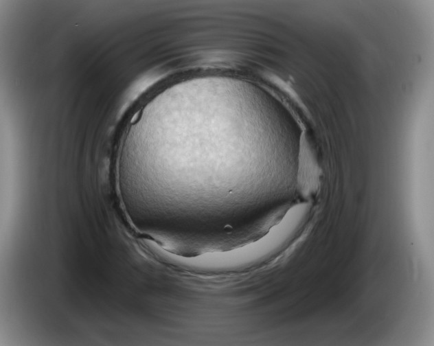 X0000083971066200703091757