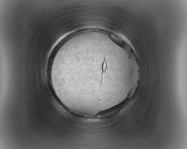 X0000083971068200703091757